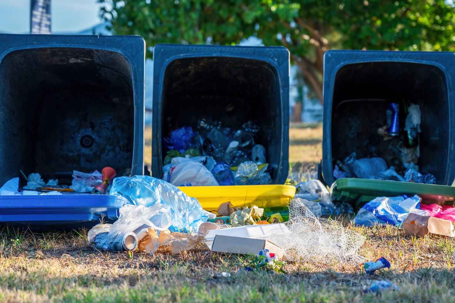 Best Yard Waste Removal  in Steamboat Springs, CO